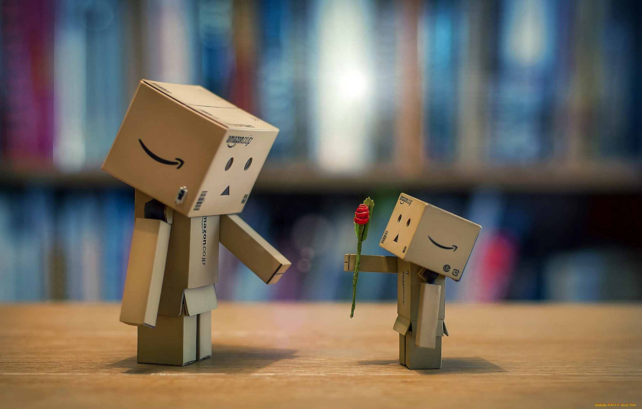 ,  , danboard, 